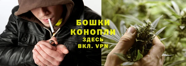 прущая мука Бородино