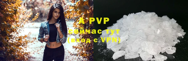 сатива Богданович