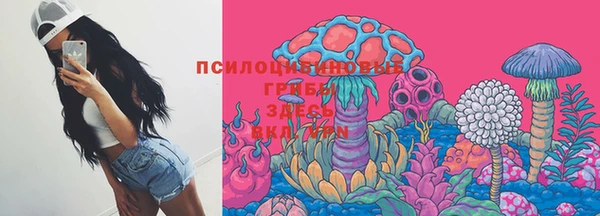 сатива Богородск
