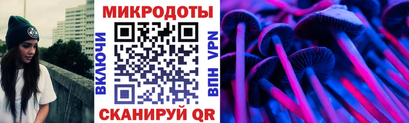 Псилоцибиновые грибы мухоморы Гдов