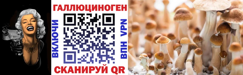 Галлюциногенные грибы Magic Shrooms  Купить закладки  Гдов 